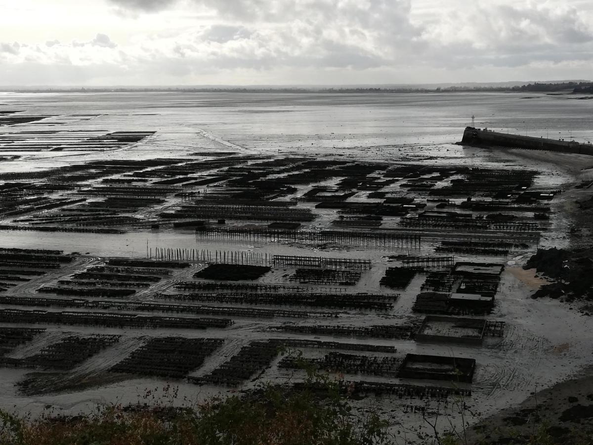 Chambres d'Hôtes Les Fleurettes en Baie Du Mont Saint Michel Exterior foto